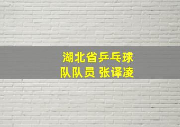 湖北省乒乓球队队员 张译凌